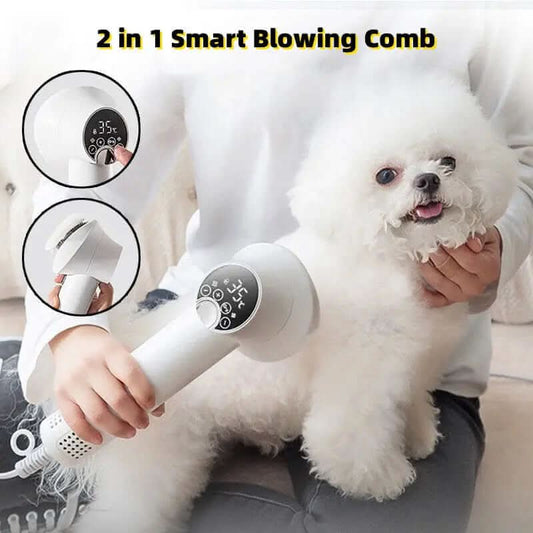 Sèche-cheveux intelligent pour animaux Les Visionnaires