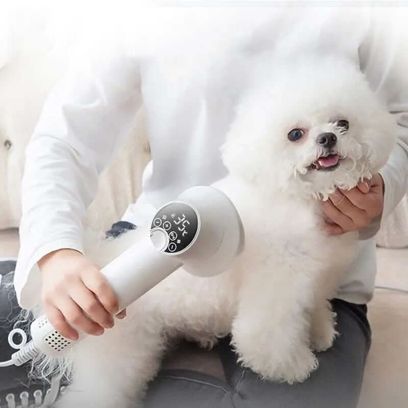 Sèche-cheveux intelligent pour animaux Les Visionnaires