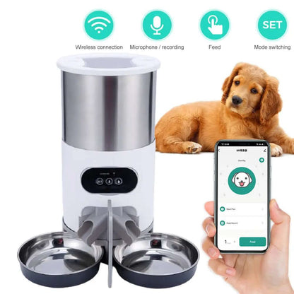 distributeur automatique de nourriture pour chats et chiens avec application intelligente Les Visionnaires