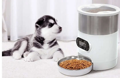 distributeur automatique de nourriture pour chats et chiens avec application intelligente Les Visionnaires