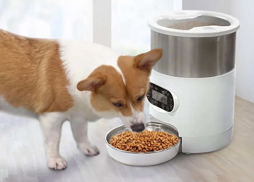 distributeur automatique de nourriture pour chats et chiens avec application intelligente Les Visionnaires