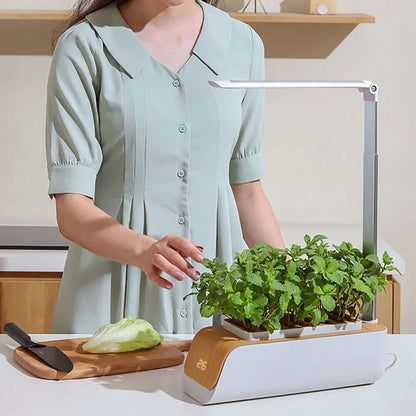 Pot de Culture Hydroponique en ABS Les Visionnaires