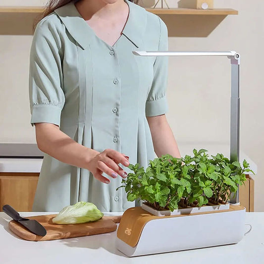 Pot de Culture Hydroponique en ABS Les Visionnaires