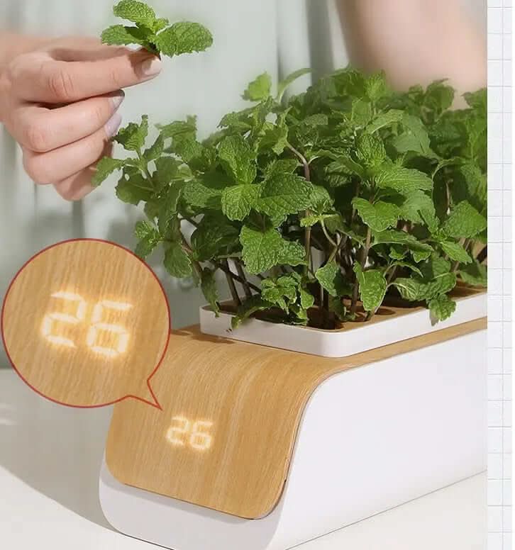 Pot de Culture Hydroponique en ABS Les Visionnaires