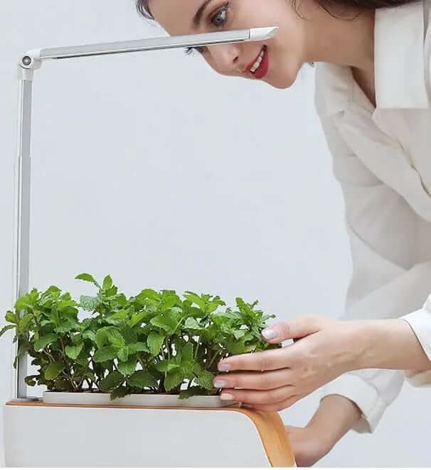 Pot de Culture Hydroponique en ABS Les Visionnaires