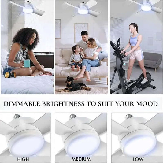 Socket Fan Light avec télécommande Les Visionnaires