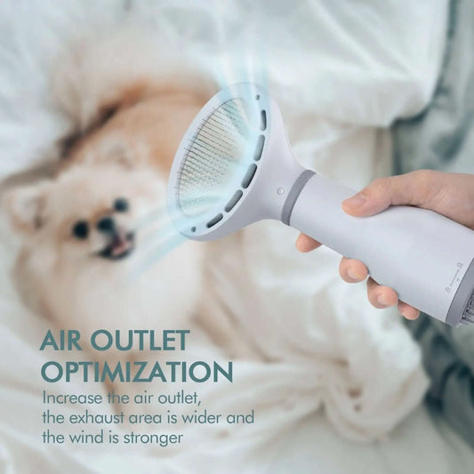 Sèche-cheveux et brosse de toilettage pour chien Dadypet Les Visionnaires
