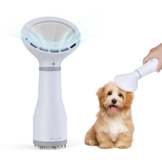 Sèche-cheveux et brosse de toilettage pour chien Dadypet Les Visionnaires