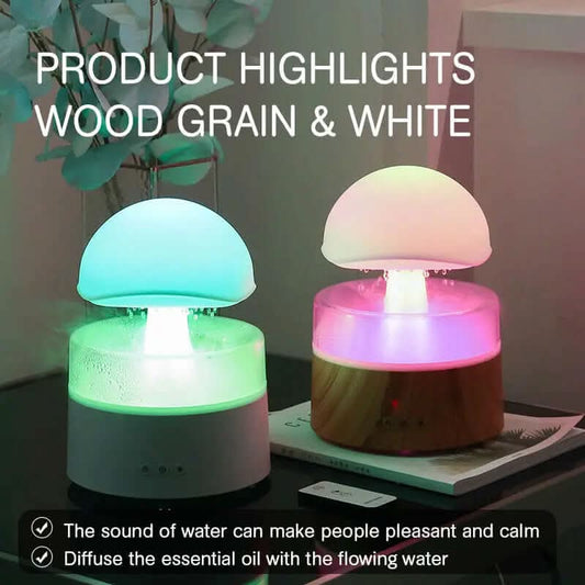 Humidificateur Les Visionnaires