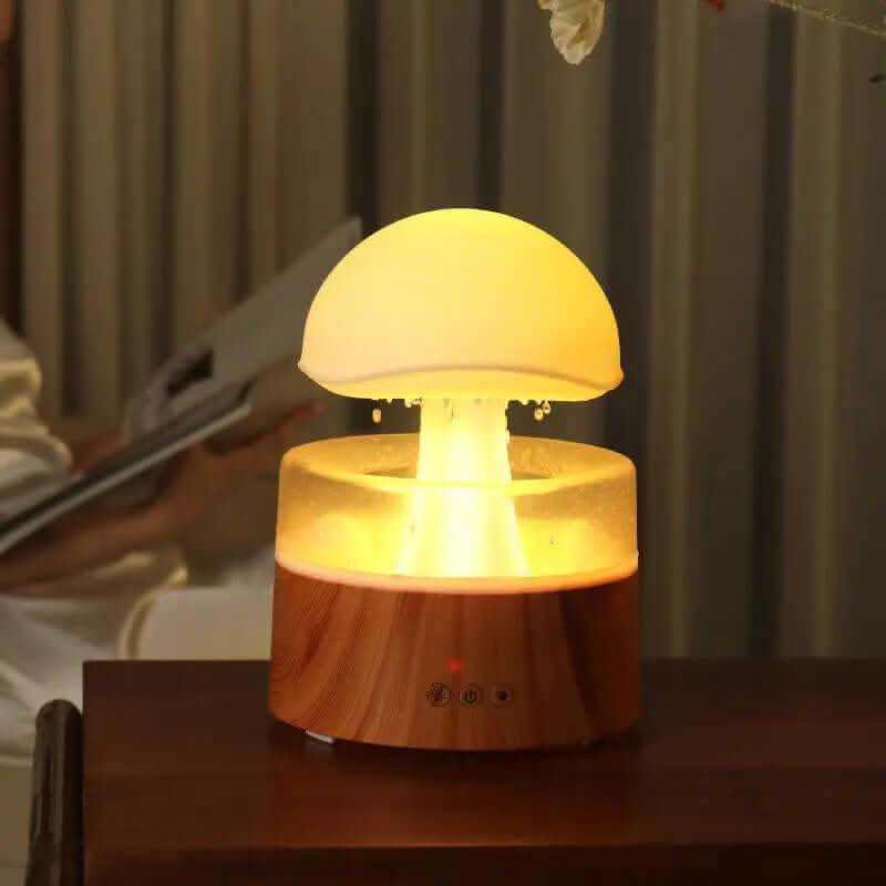 Humidificateur Les Visionnaires