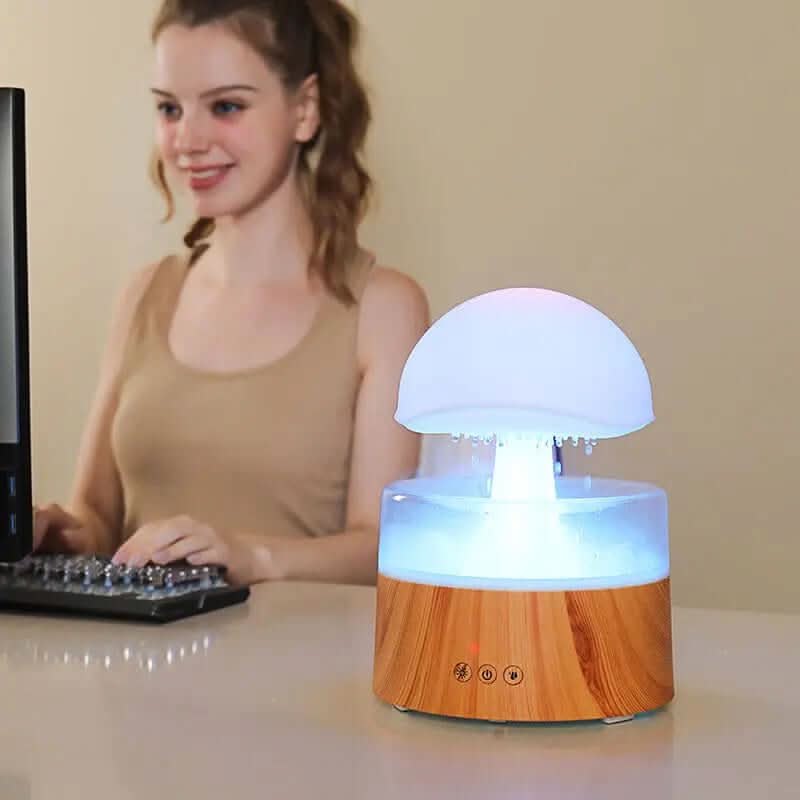 Humidificateur Les Visionnaires