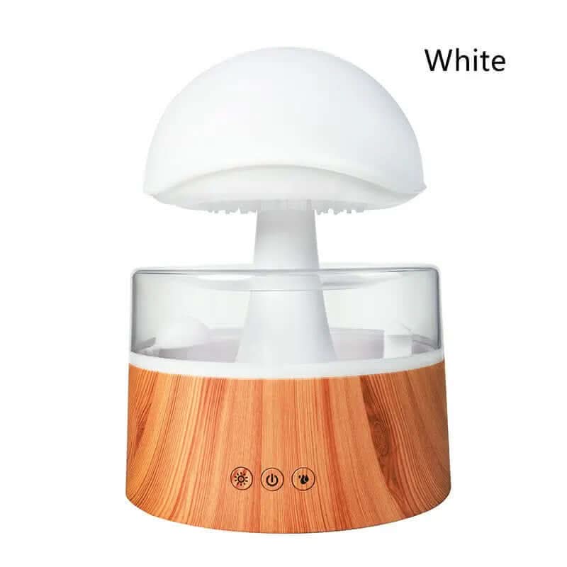 Humidificateur Les Visionnaires