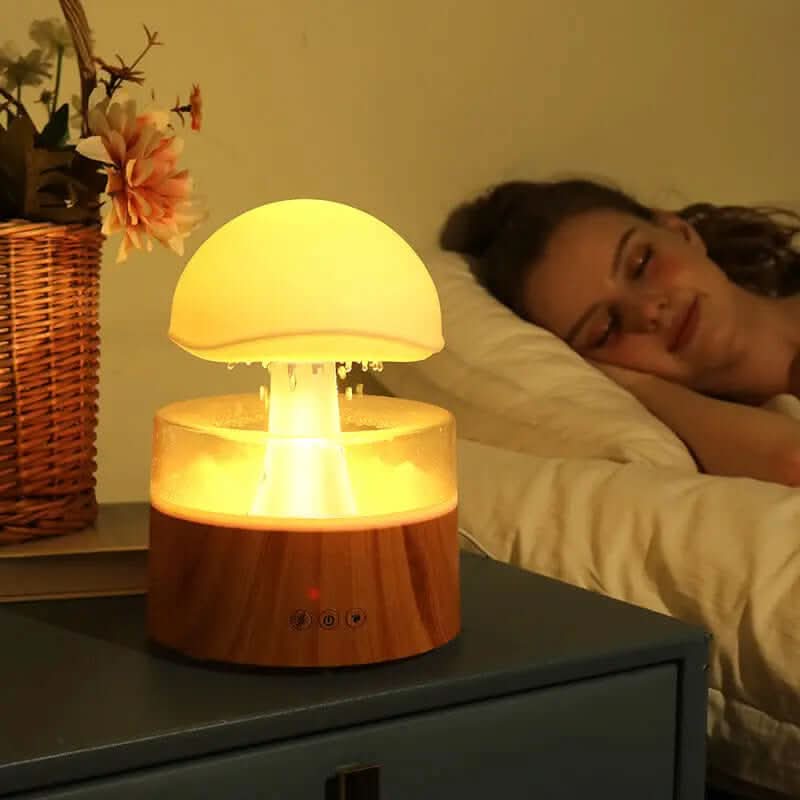 Humidificateur Les Visionnaires