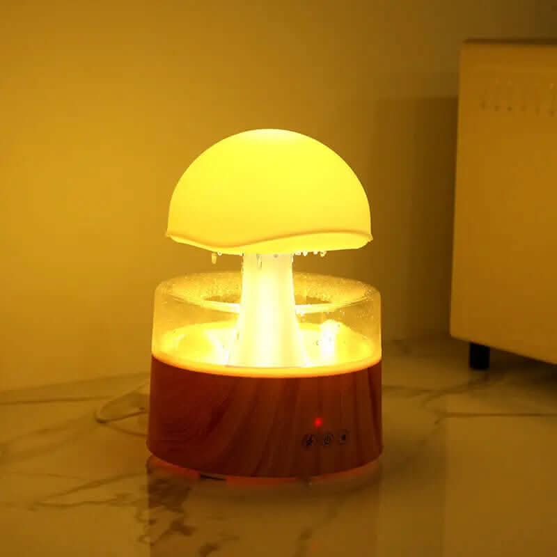 Humidificateur Les Visionnaires