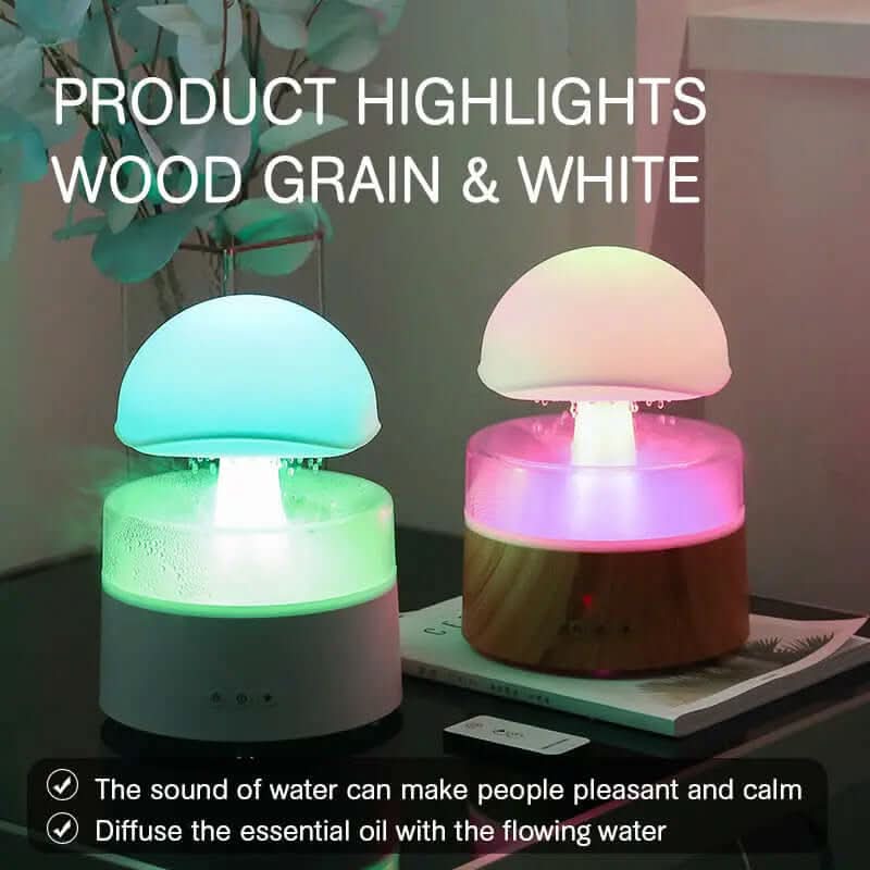 Humidificateur Les Visionnaires