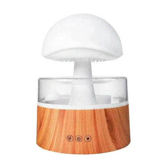 Humidificateur Les Visionnaires