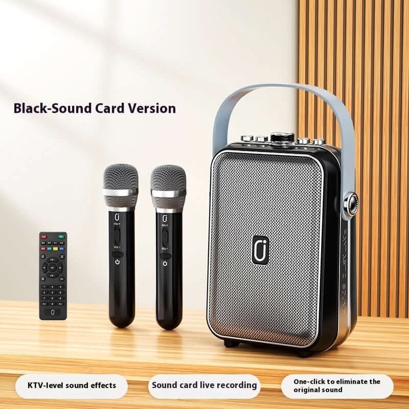 Enceinte Bluetooth portable spéciale karaoké en extérieur - XLL-Gadgets