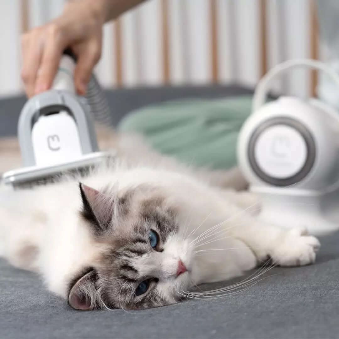 Outil de toilettage multifonction pour animaux de compagnie - XLL-Gadgets